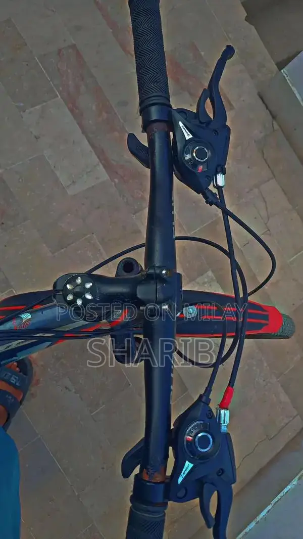 Aluminum Frame Gear Cycle with Front Disk Brake