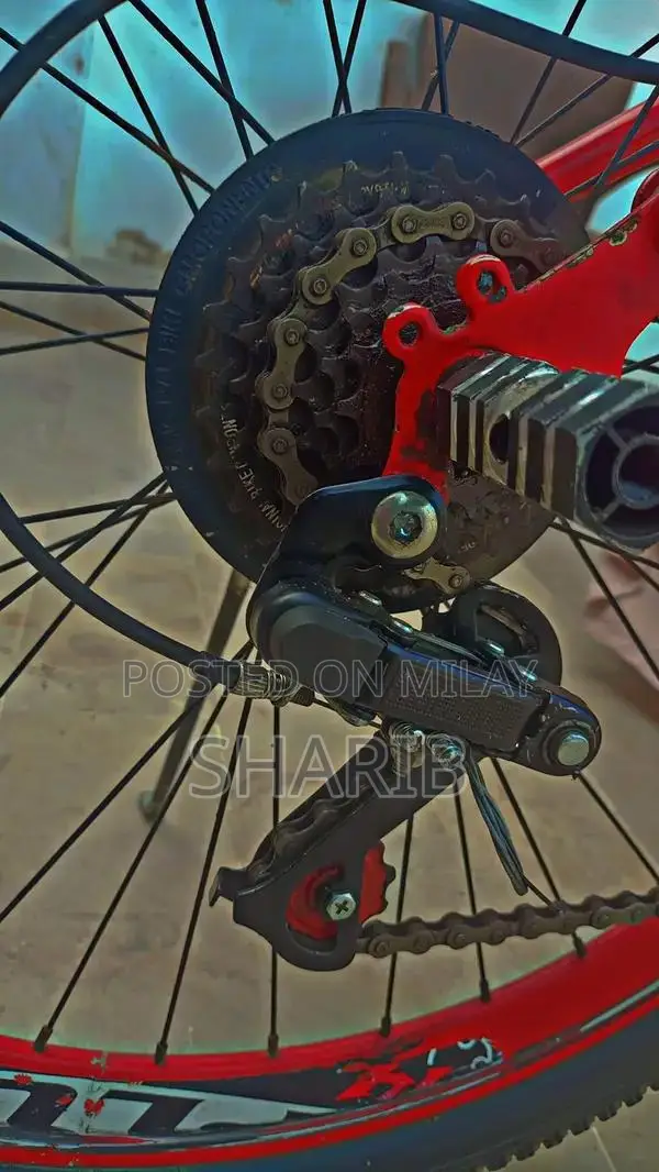 Aluminum Frame Gear Cycle with Front Disk Brake