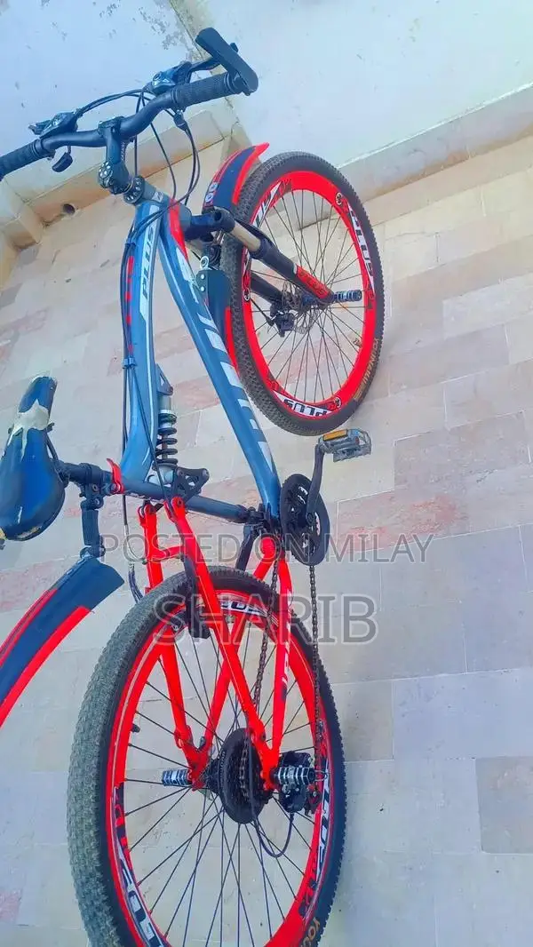 Aluminum Frame Gear Cycle with Front Disk Brake