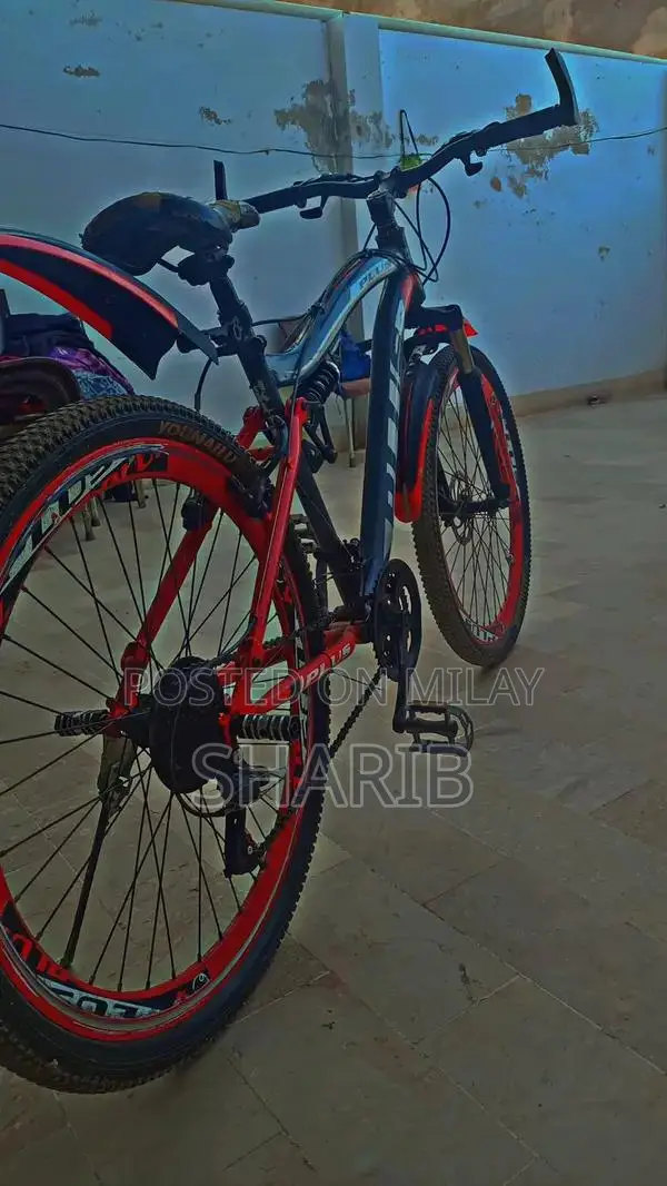Aluminum Frame Gear Cycle with Front Disk Brake