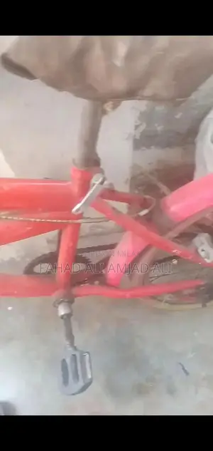 Photo - Bicycle in Need of Minor Repairs - Front Tire Service Required