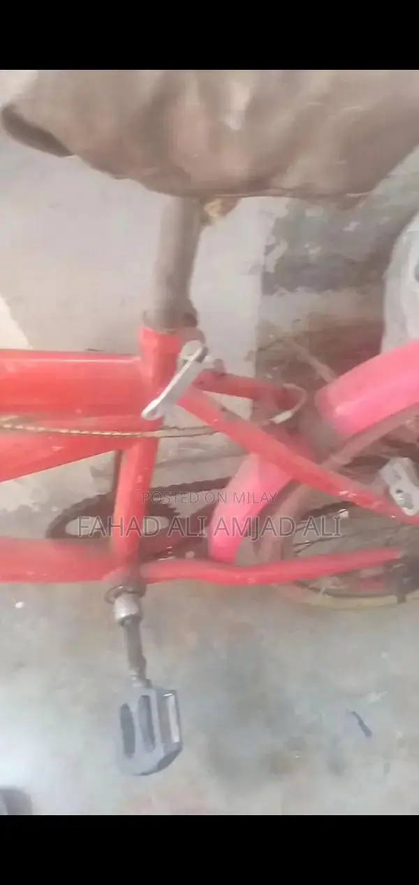 Bicycle in Need of Minor Repairs - Front Tire Service Required