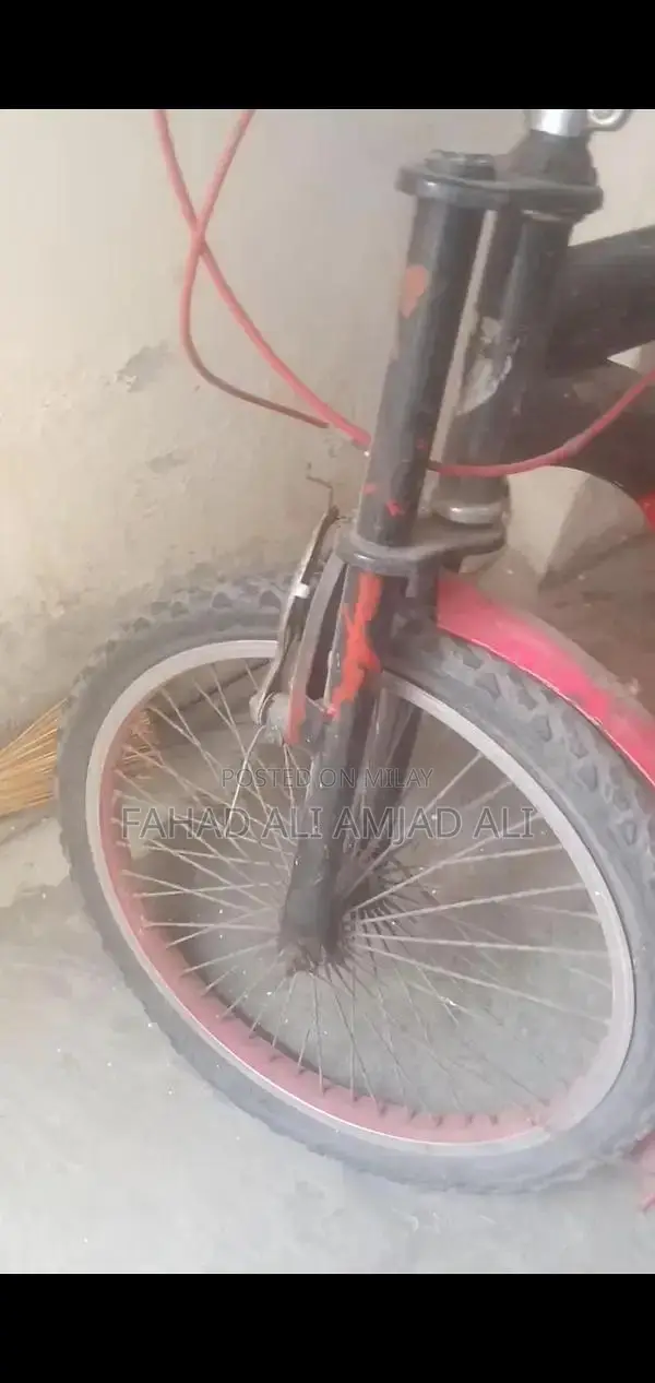 Bicycle in Need of Minor Repairs - Front Tire Service Required