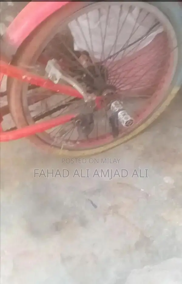 Bicycle in Need of Minor Repairs - Front Tire Service Required