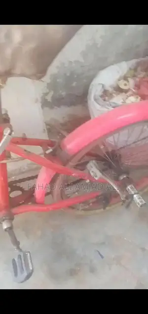 Bicycle in Need of Minor Repairs - Front Tire Service Required