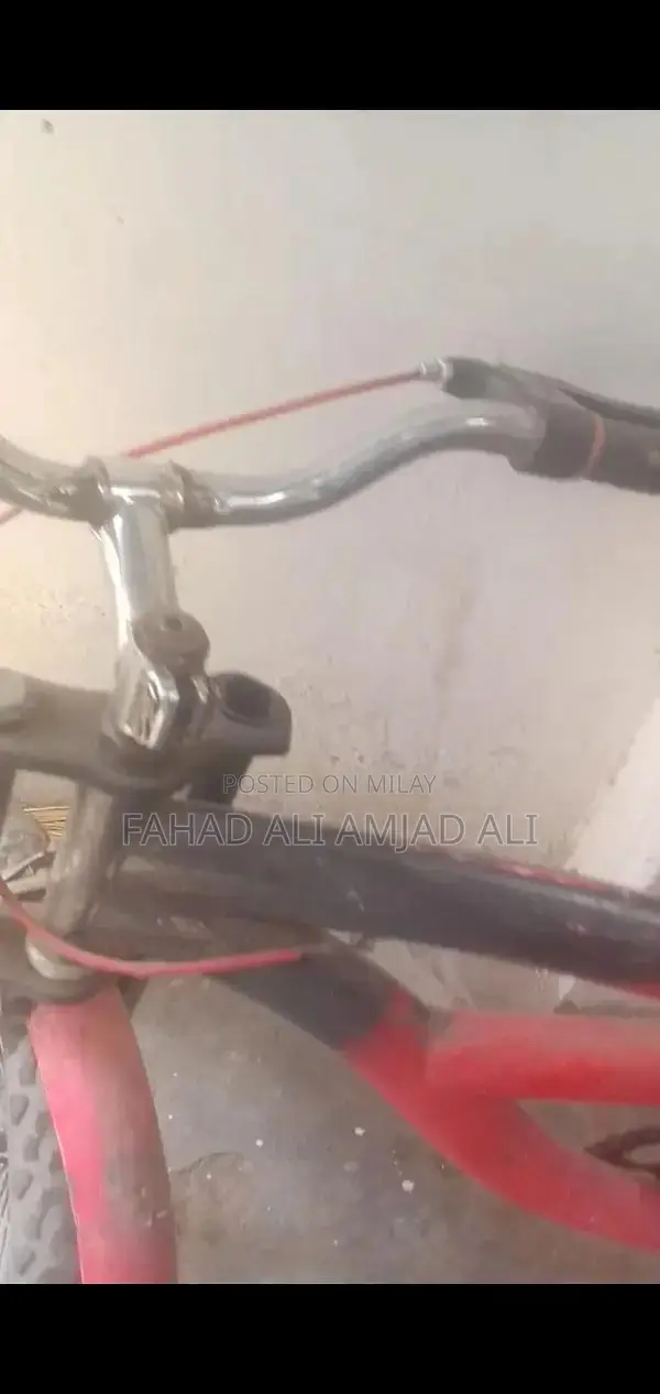 Bicycle in Need of Minor Repairs - Front Tire Service Required