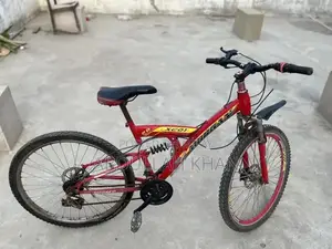 Photo - Morgan Shimano Gear Bicycle with Double Jump System