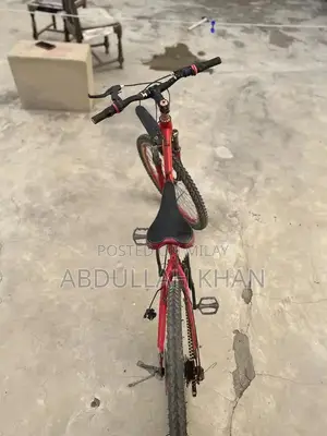 Morgan Shimano Gear Bicycle with Double Jump System