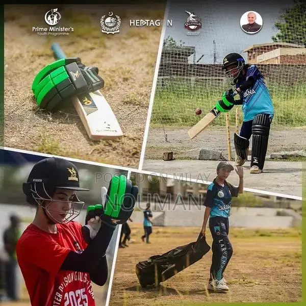 Hard Ball Cricket Bat - Lahour Qanandar Special Edition