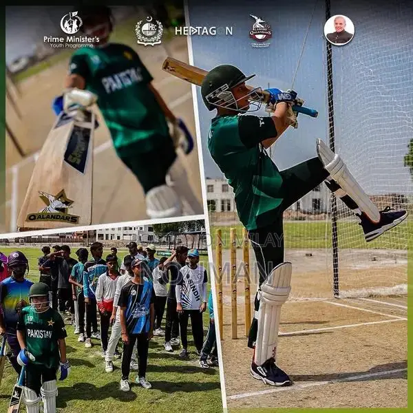 Hard Ball Cricket Bat - Lahour Qanandar Special Edition