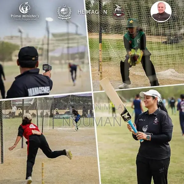 Hard Ball Cricket Bat - Lahour Qanandar Special Edition