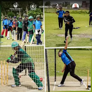 Hard Ball Cricket Bat - Lahour Qanandar Special Edition