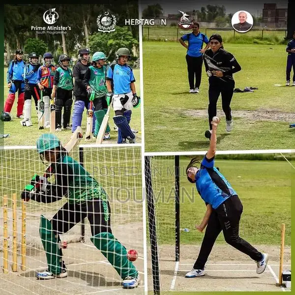 Hard Ball Cricket Bat - Lahour Qanandar Special Edition