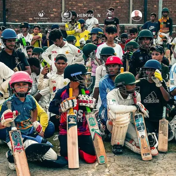 Hard Ball Cricket Bat - Lahour Qanandar Special Edition