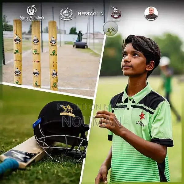 Hard Ball Cricket Bat - Lahour Qanandar Special Edition