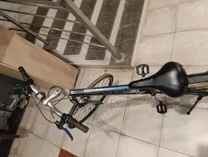 Chevaux 26-Inch Wheel Bicycle for Urban and Casual Riding