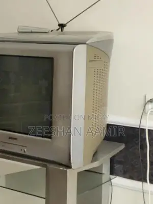 Compact 21-Inch TV with Portable Trolley Stand