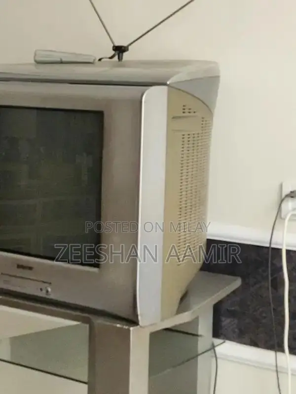 Compact 21-Inch TV with Portable Trolley Stand