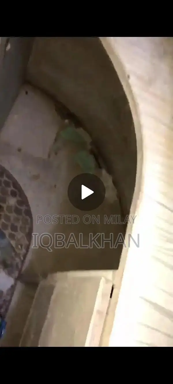 Wooden L-Shaped Counter for Retail Shops