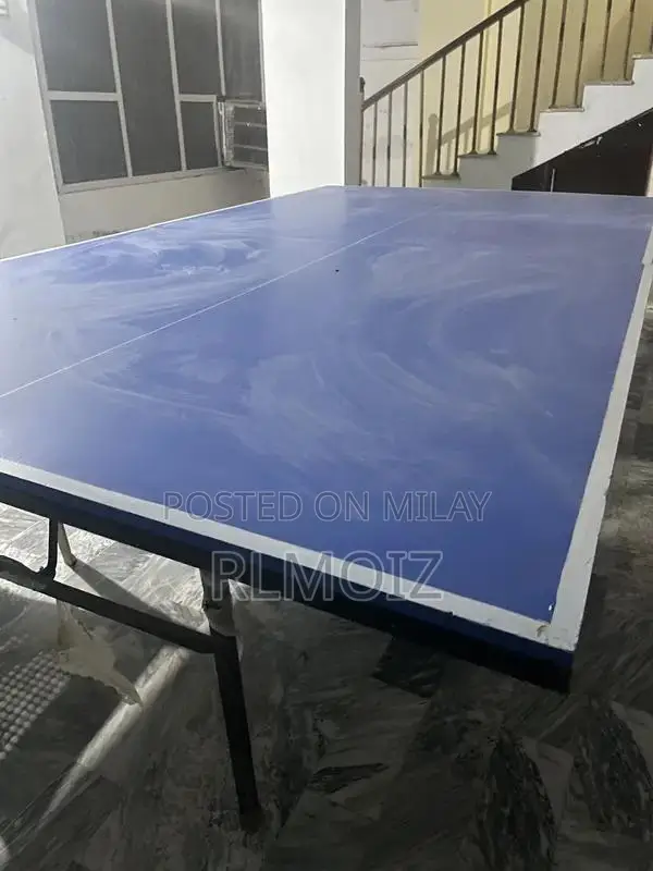 Professional Olympic Standard Table Tennis Table for Home Practice