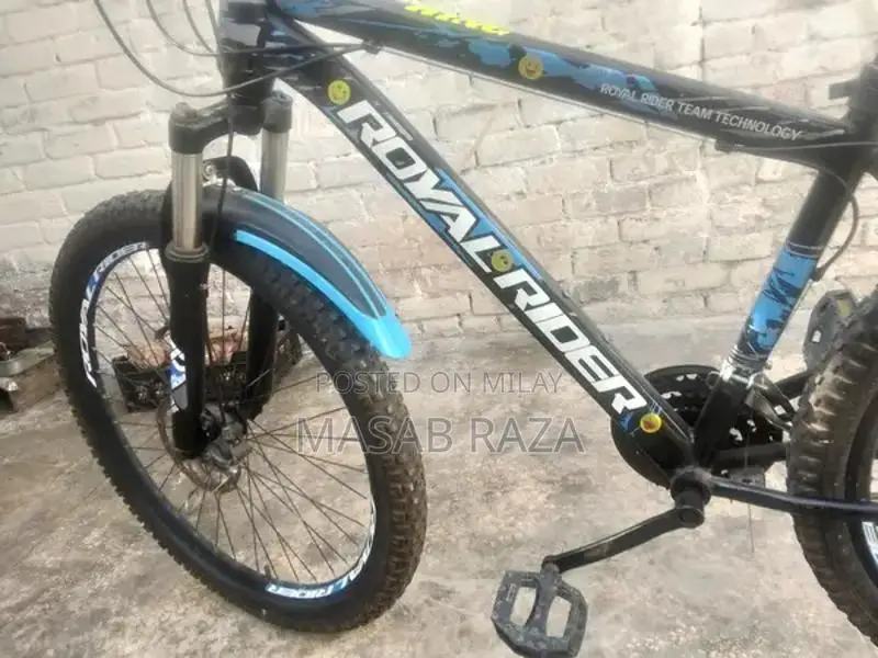 Well-Maintained Bicycle in Excellent Condition