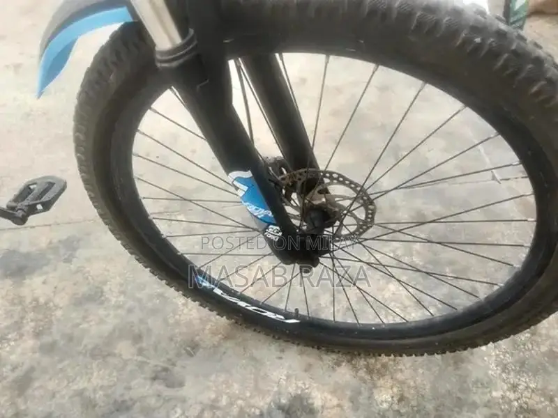 Well-Maintained Bicycle in Excellent Condition