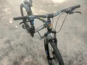 Well-Maintained Bicycle in Excellent Condition