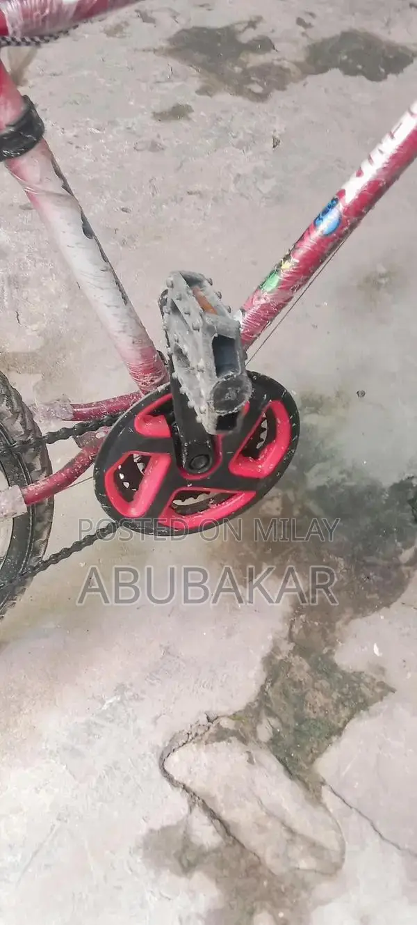 Sports Bag Accessory Gear