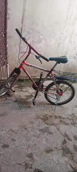 Sports Bag Accessory Gear