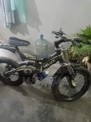 Helux Imported Bicycle 20-Inch with Gear and Jump Features