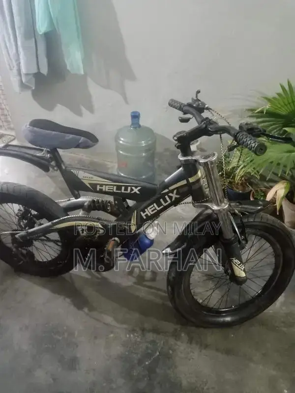 Helux Imported Bicycle 20-Inch with Gear and Jump Features