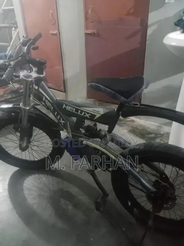 Helux Imported Bicycle 20-Inch with Gear and Jump Features
