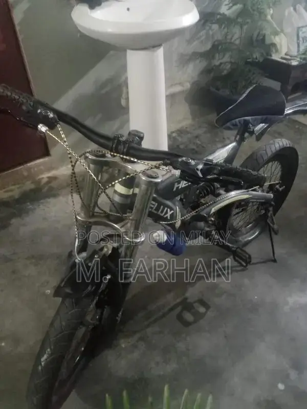 Helux Imported Bicycle 20-Inch with Gear and Jump Features