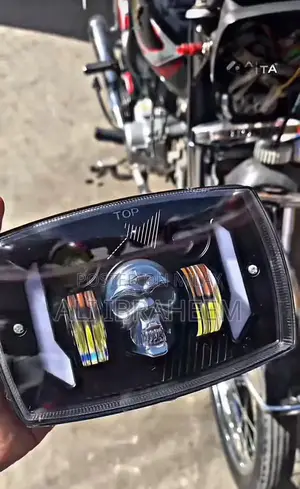 Photo - LED Skull Panel Light with Multiple Modes