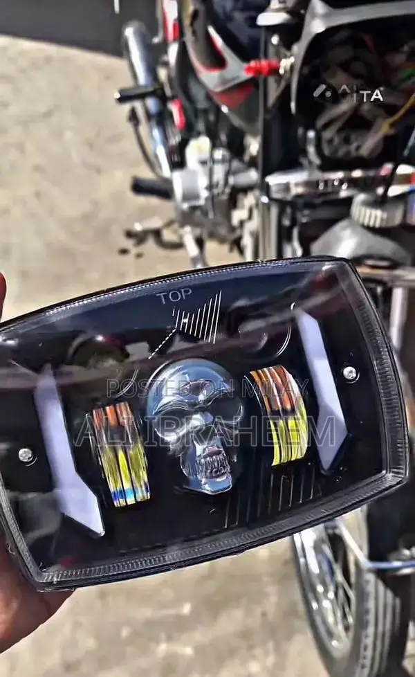 LED Skull Panel Light with Multiple Modes