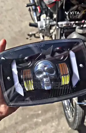 LED Skull Panel Light with Multiple Modes