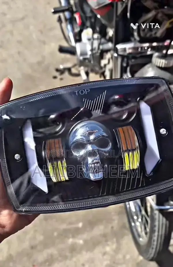 LED Skull Panel Light with Multiple Modes