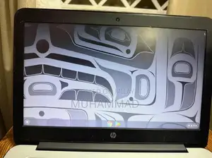 HP Chromebook 14 G3 Lightweight Portable Laptop