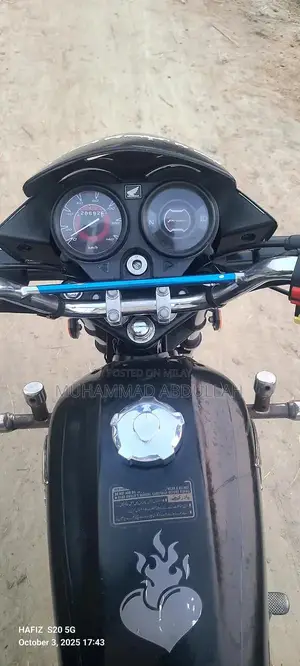 Photo - Durable Koi Fish Aquarium Accessory in Excellent Condition