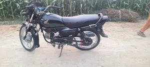 Durable Koi Fish Aquarium Accessory in Excellent Condition