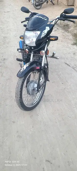 Durable Koi Fish Aquarium Accessory in Excellent Condition