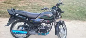 Durable Koi Fish Aquarium Accessory in Excellent Condition