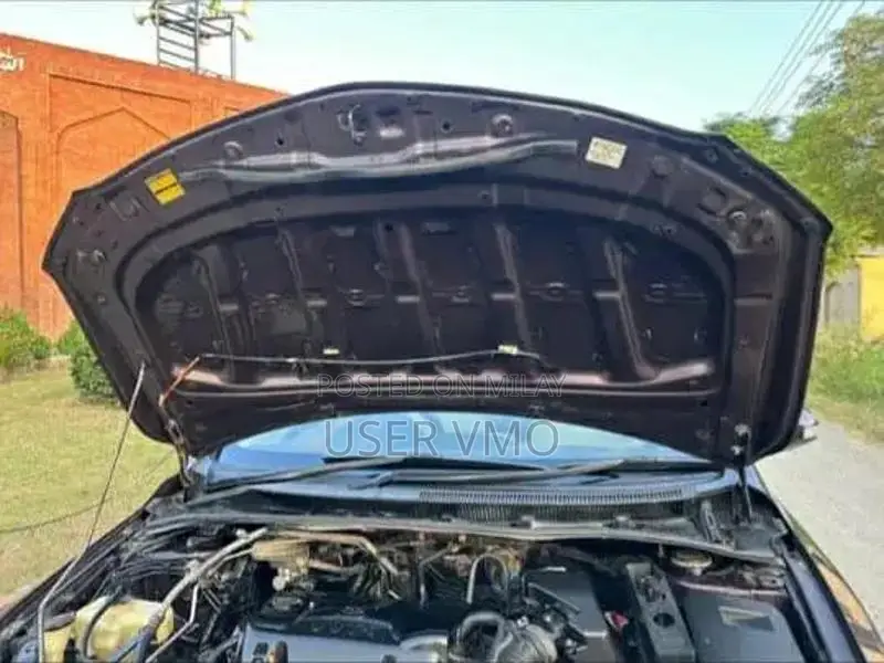 2012 Volkswagen GLI Sedan Sporty Compact Car