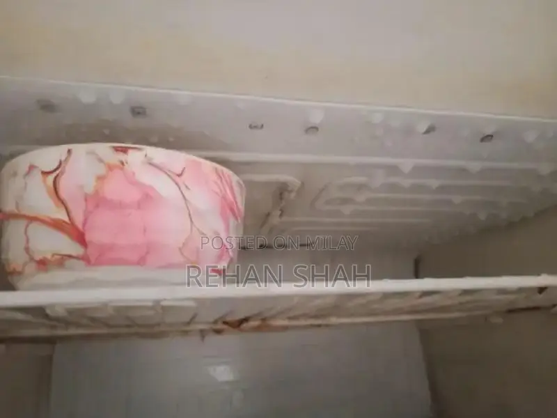 Haier 2-Door Refrigerator - Medium Size Chilled Cooling Appliance