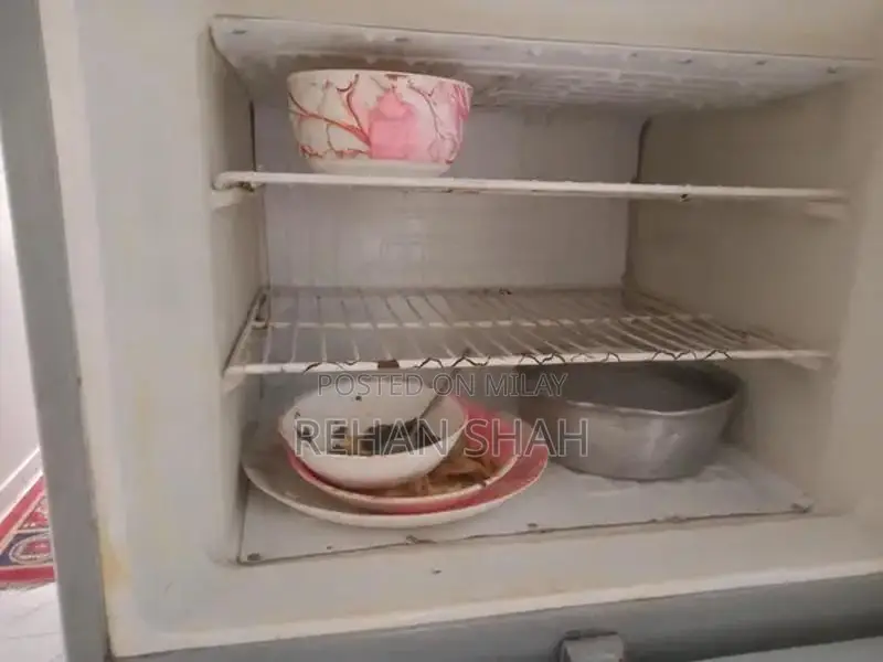 Haier 2-Door Refrigerator - Medium Size Chilled Cooling Appliance