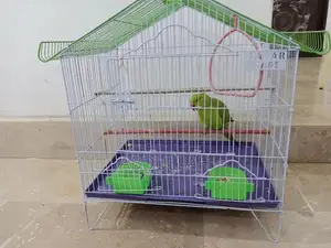 Photo - Decorative Pinjra and Tota Bird Cage Set