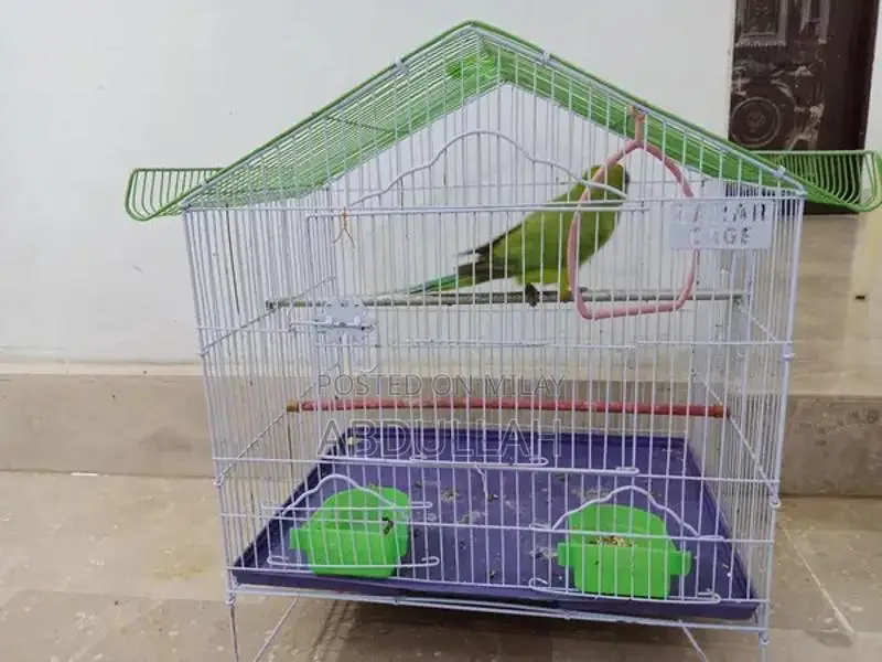 Decorative Pinjra and Tota Bird Cage Set