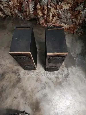 Boofers Stereo Sound LED Speaker with Built-in Tweeters