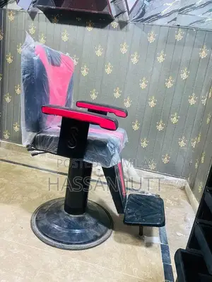 Salon Chair - Barely Used, Excellent Condition