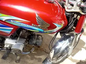 Photo - Honda CD 70 Motorcycle 2024 Model